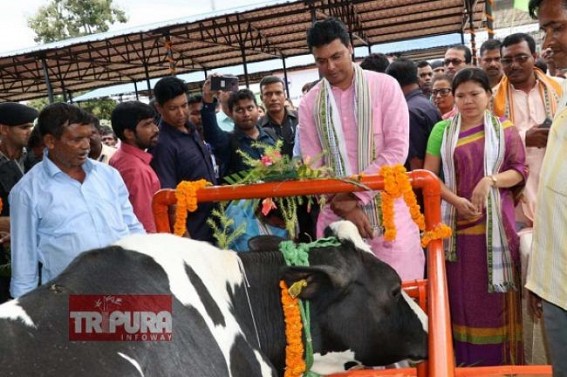 'I was criticized world-wide when I proposed Cow Rearing Profession to Tripura’s Unemployed youths, but today I am proven right, Tripura Cow milk Industry can get Rs 1100 crores profit every year', claims CM Biplab Deb 'I was criticized world-wide when I proposed Cow Rearing Profession to Tripura’s Unemployed youths, but today I am proven right, Tripura Cow milk Industry can get Rs 1100 crores profit every year', claims CM Biplab Deb